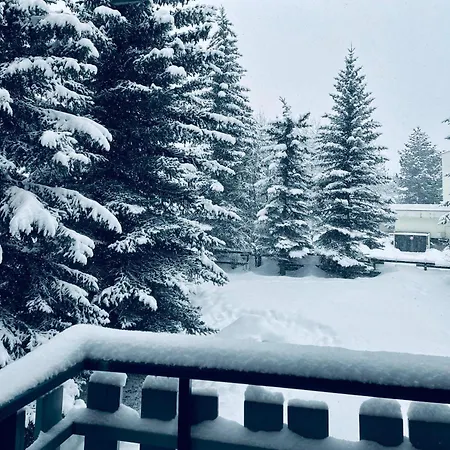 Le Chardon Bleu * La Salle-les-Alpes